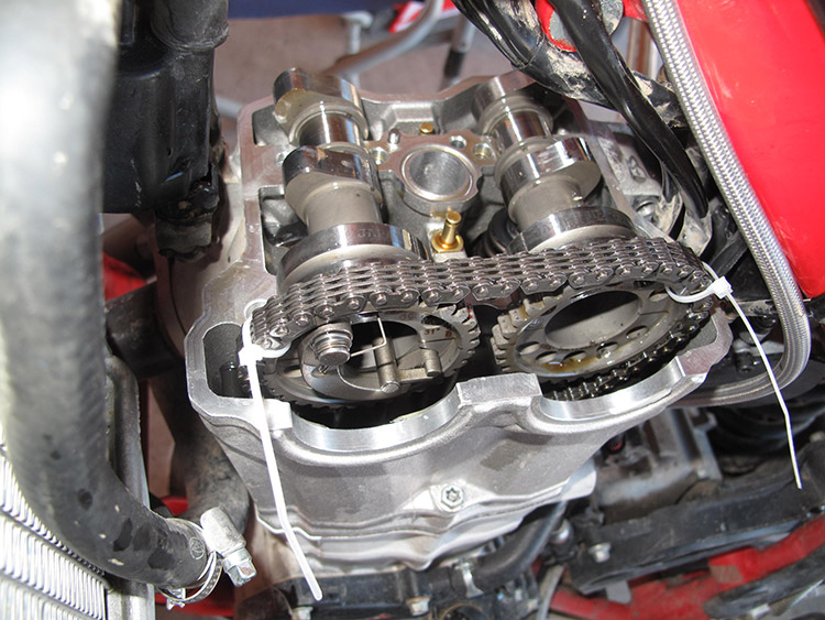 Beta-350-RR-valves