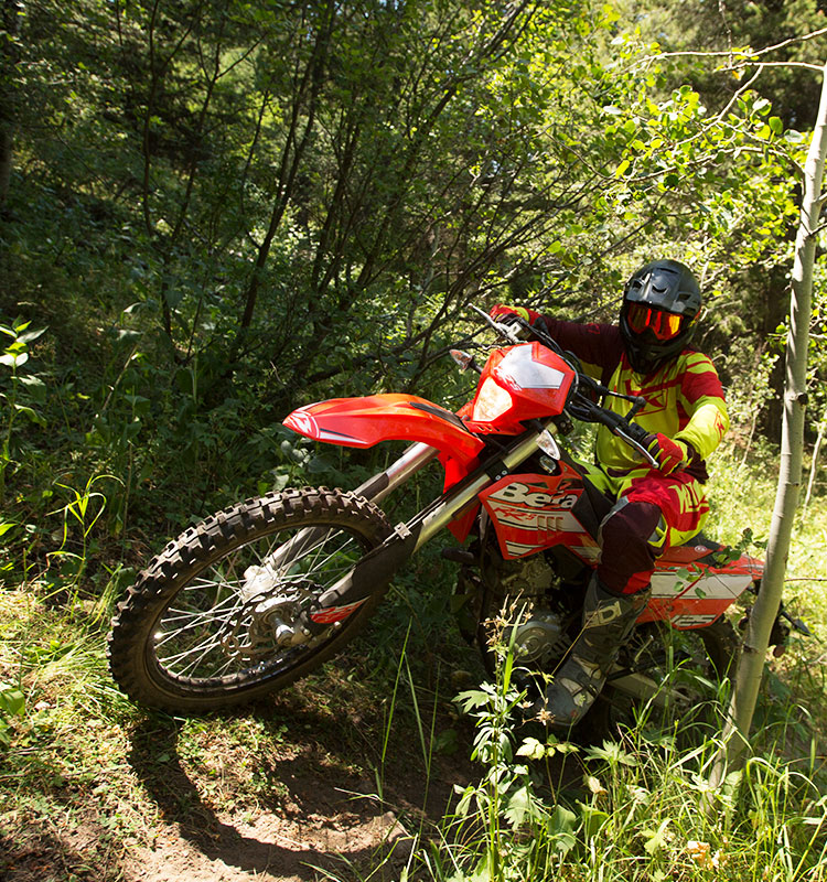 2017-Beta-RR-S125-pre9